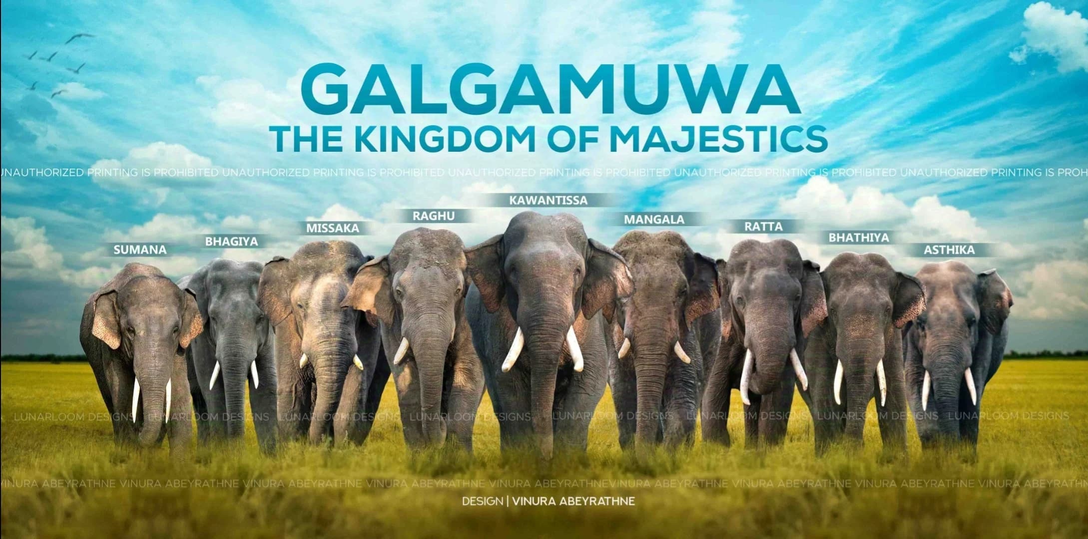 Galgamuwa Elephants