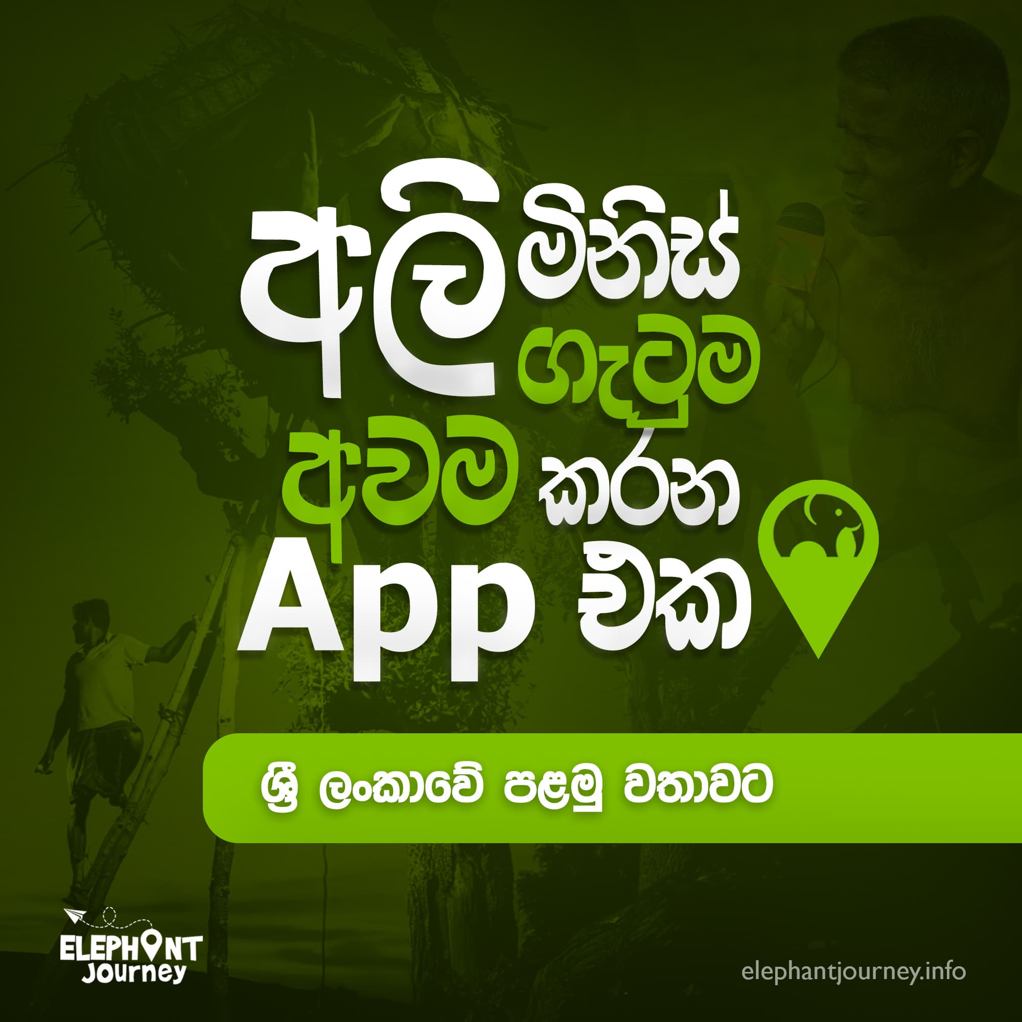 ඔබ නිවැරදි තොරතුරු වාර්තා කරොත් සියලු දෙනාට ප්‍රයෝජනවත් වේවි